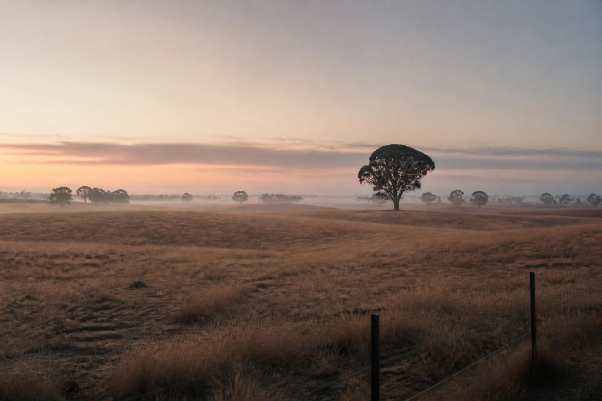 Australian Country at golden hour